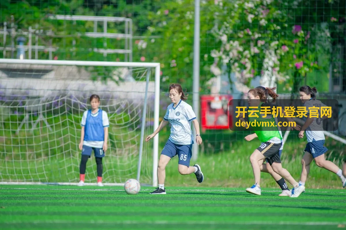 开云手机登录官网服务介绍