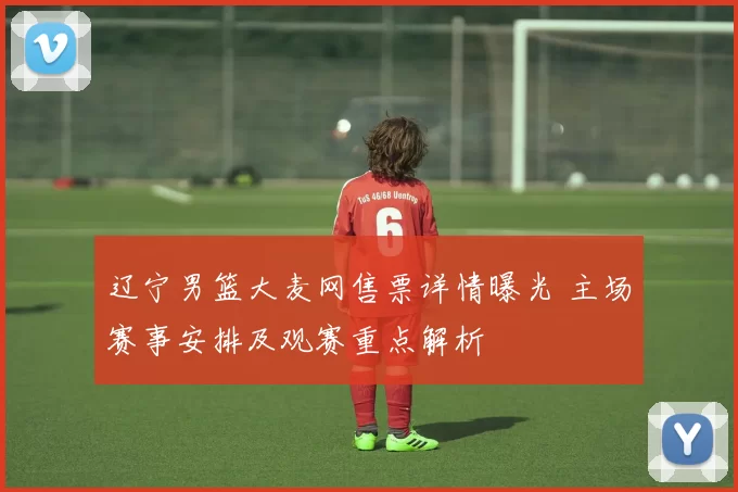 辽宁男篮大麦网售票详情曝光 主场赛事安排及观赛重点解析