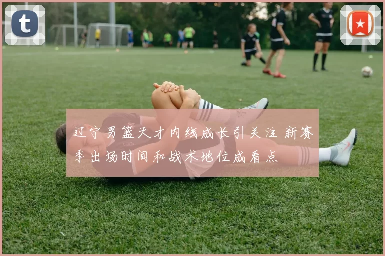 辽宁男篮天才内线成长引关注 新赛季出场时间和战术地位成看点