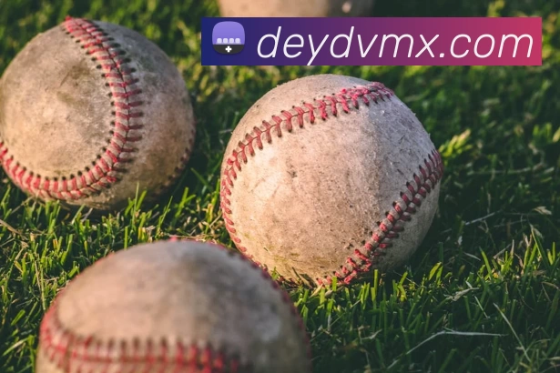 世界杯中国官网品牌故事