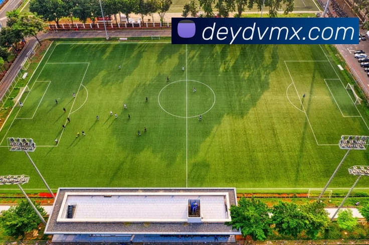 世界杯中国官网服务体系