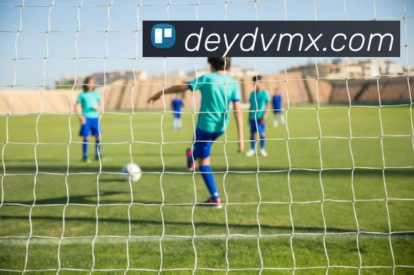 多媒体互动体验